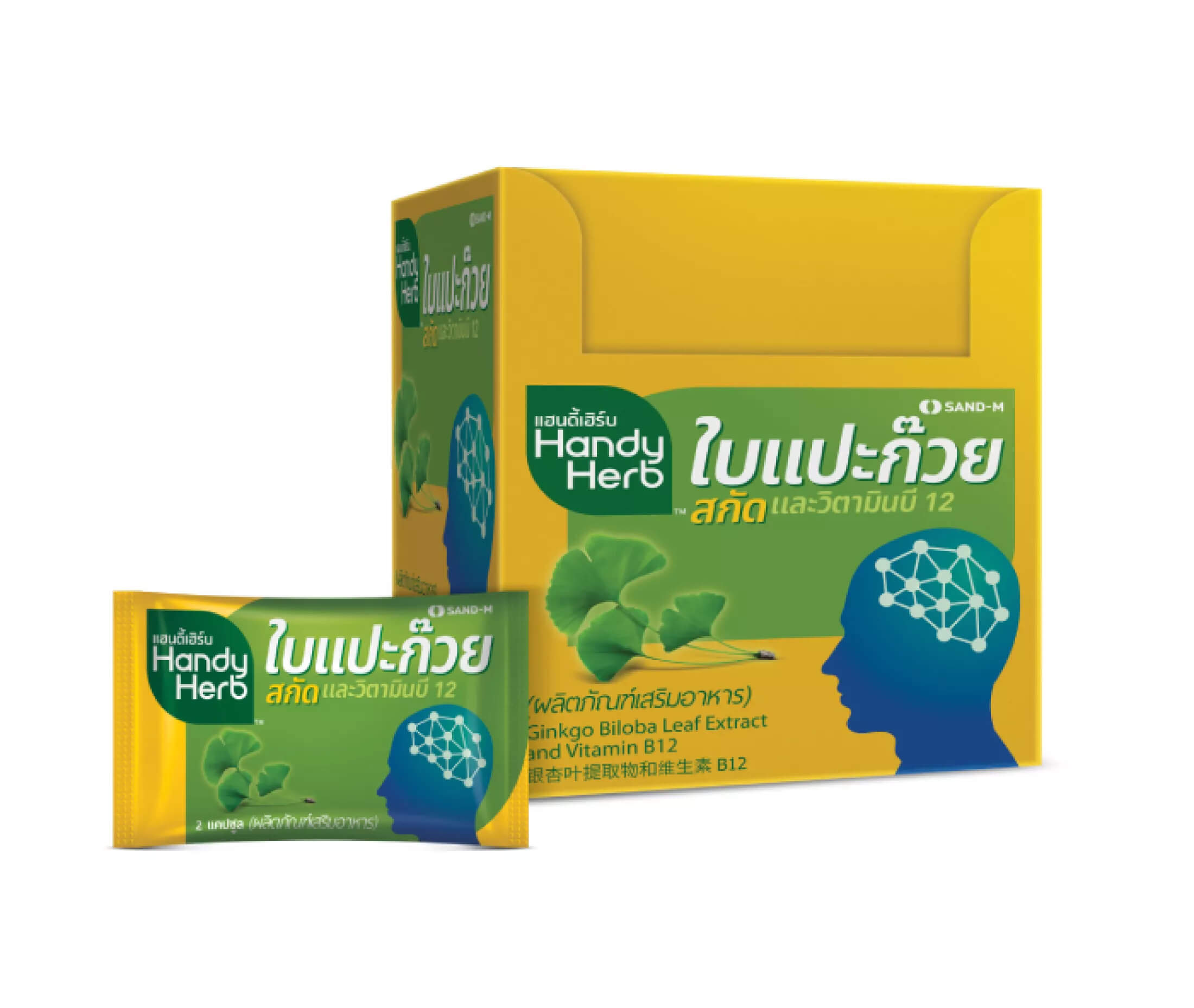 HANDY HERB Ginkgo Leaf Extract