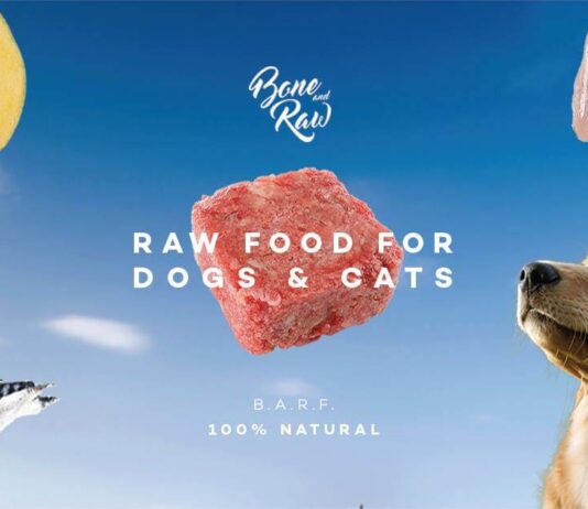 BONE AND RAW – อาหารบาร์ฟ อาหารคลีนสำหรับ สุนัข