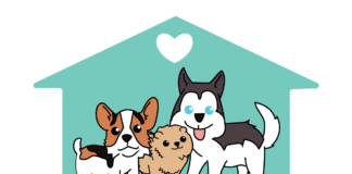 BACK HOME DOG SERVICE โรงแรมหมา รับฝากสุนัขใหญ่