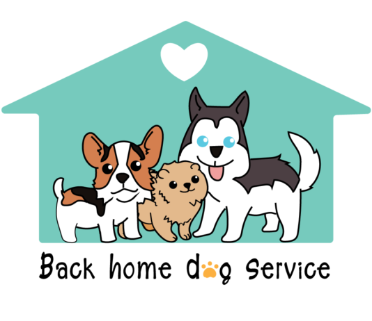BACK HOME DOG SERVICE โรงแรมหมา รับฝากสุนัขใหญ่
